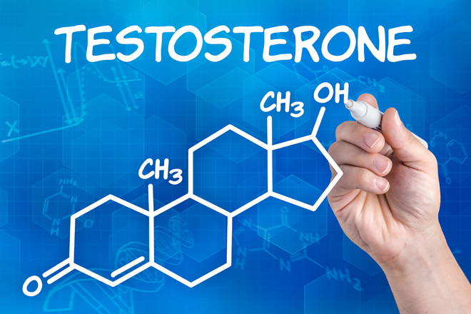 Total Testosterone in and near Clearwater Florida
