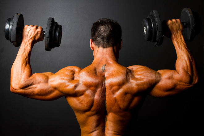 Natural Growth Hormone Boosters  in and near Brandon Florida
