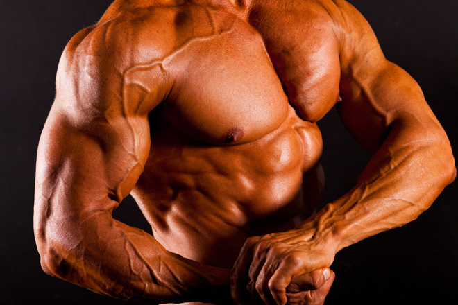 Testosterone is a Steroid in and near Clearwater Florida